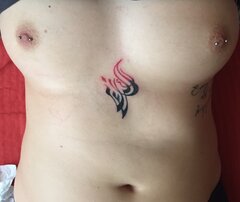 IMG_2991.jpg