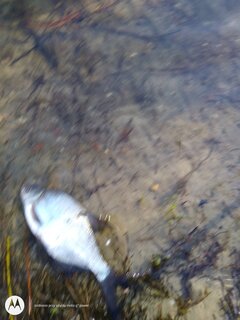 IMG_20210408_170002565.jpg