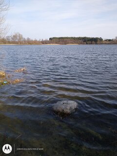 IMG_20210411_161436914.jpg