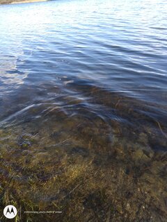 IMG_20210408_170009862.jpg