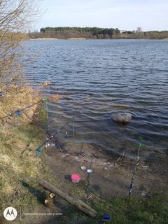 IMG_20210411_161452879.jpg