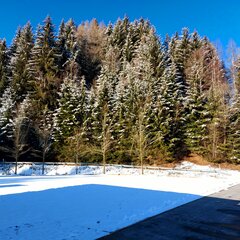 20210315_080949_06.jpg
