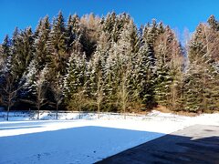 20210315_080949_01.jpg