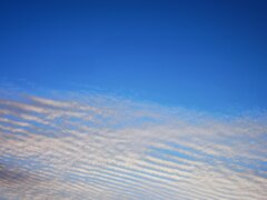 IMG_20210413_190725.jpg