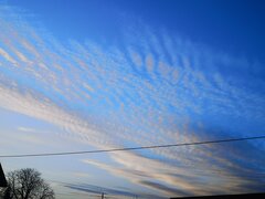 IMG_20210413_190747.jpg