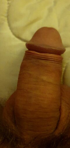 20210414_002026.jpg