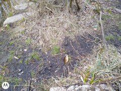 IMG_20210414_163411772.jpg