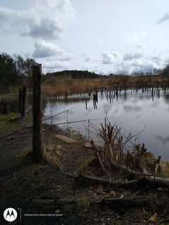 IMG_20210414_130947765.jpg