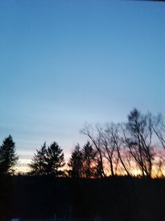 IMG_20210414_201322.jpg