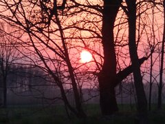 IMG_20210418_191138143.jpg