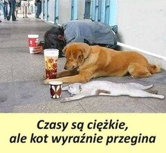 FB_IMG_1618218073972.jpg