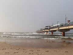 20210319_170239.jpg