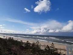 20210319_145028.jpg