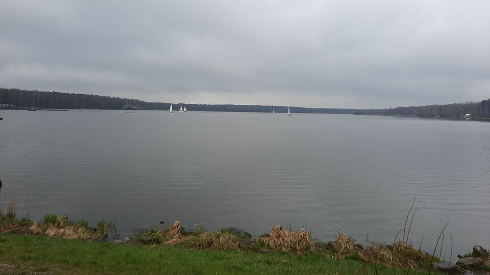 IMG-20210417-WA0009.jpeg - Oliwierpszczyna