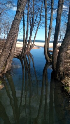 IMG_20210424_131323_HDR.jpg