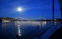 IMG_20210424_200319.jpg