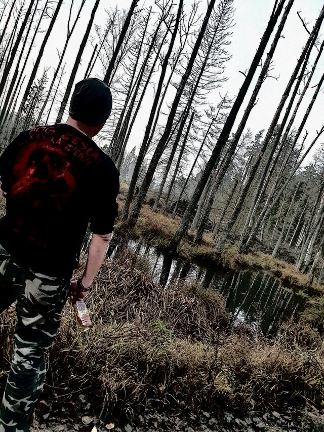 Camino81