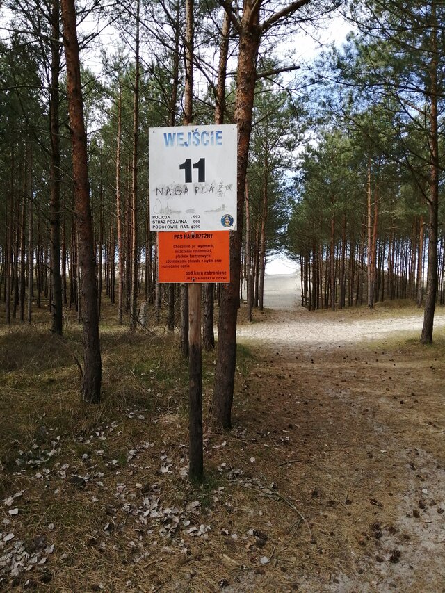agarad30