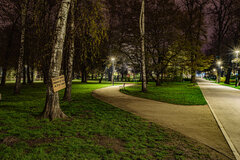 Nocą w parku