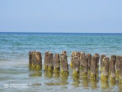 IMG_20200627_143122.jpg