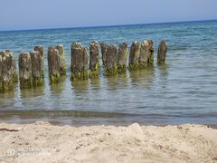 IMG_20200628_103225.jpg
