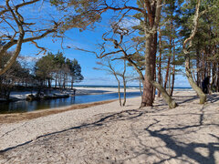 20210425_160239a.jpg