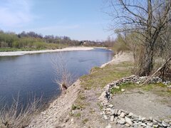 IMG_20210428_124250.jpg