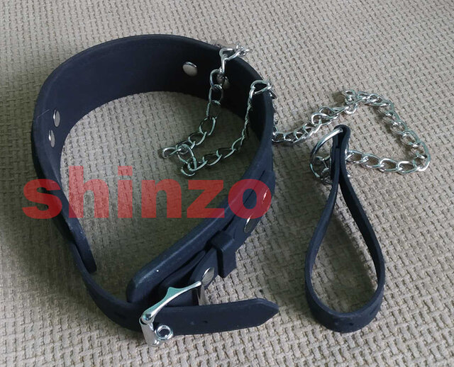 shinzo