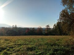 DSC_0004.JPG