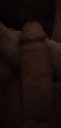 20210502_010046.jpg