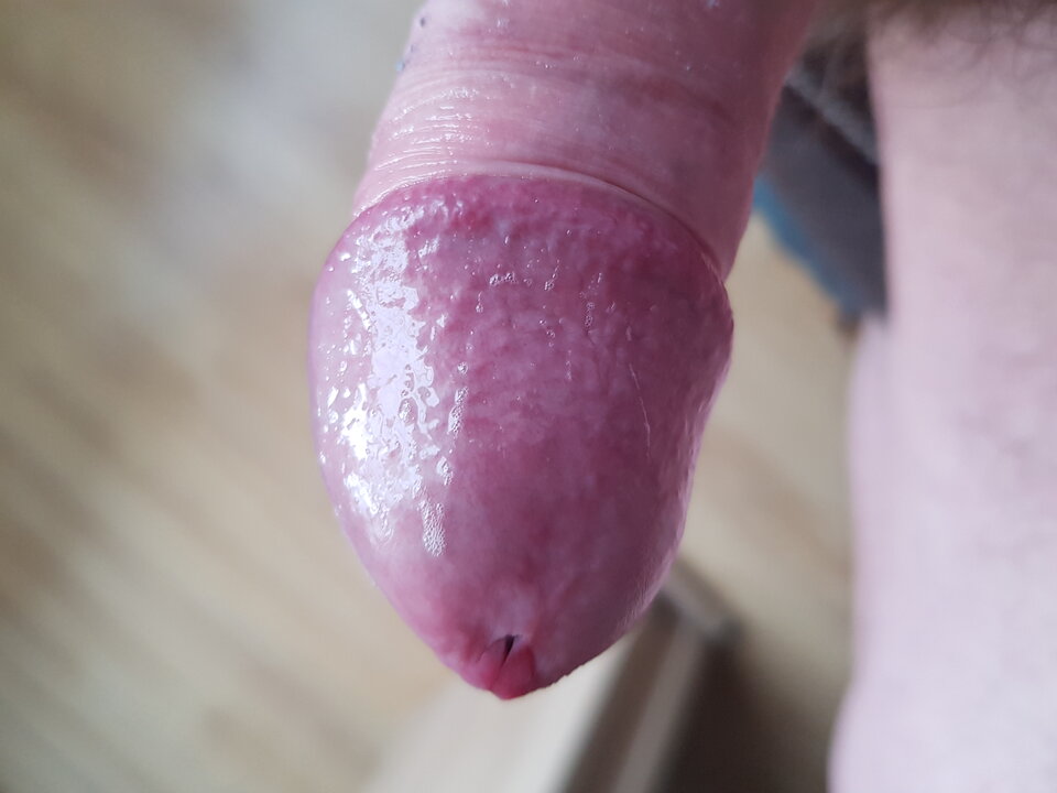 20210505_160345.jpg - pitupitu00