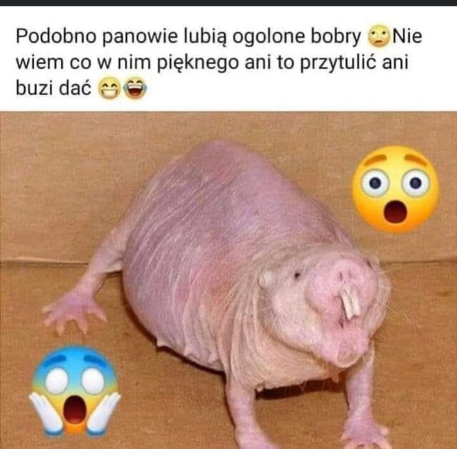 woyjtek75
