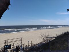IMG_20210501_094755.jpg