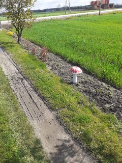 20210508_093149.jpg
