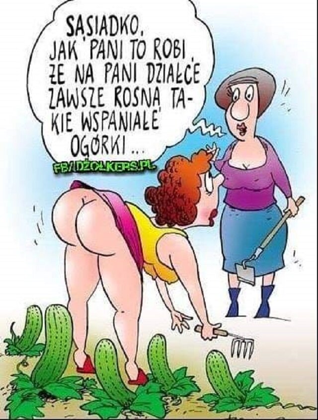 wolni4040