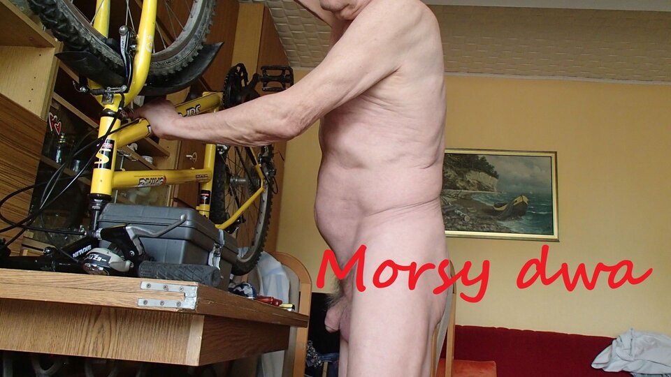 Zbiornik 1501 - Morsy_dwa