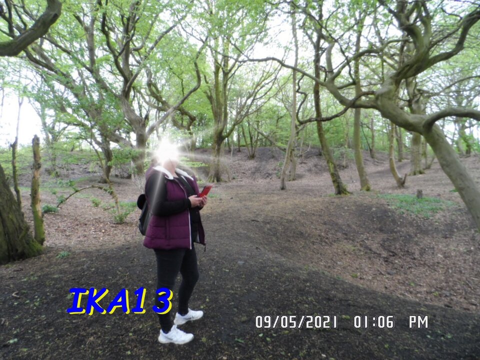 SAM_3323.JPG - ika13
