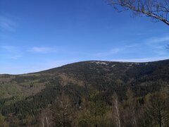 IMG_20210509_174139.jpg
