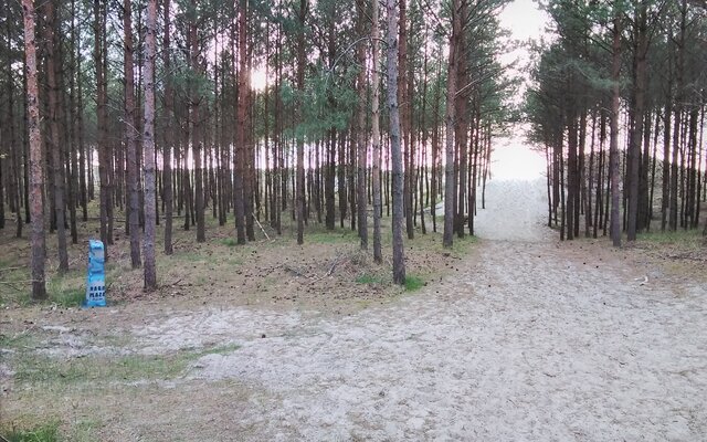 liboom