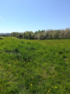 IMG_20210510_104254.jpg