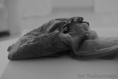 DSCF3209.JPG