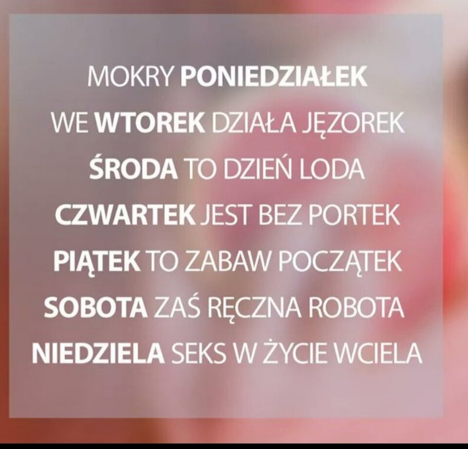 20191102_155841.jpg - pitupitu00