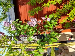 20210512_163824.jpg