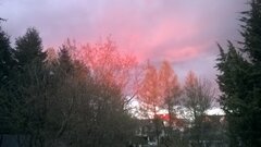 WP_20210507_038.jpg