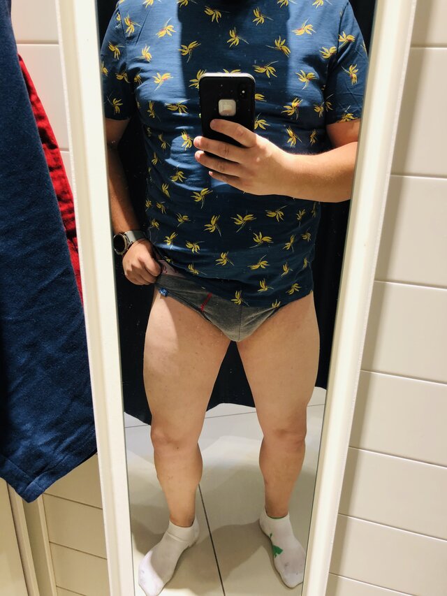 stockybear