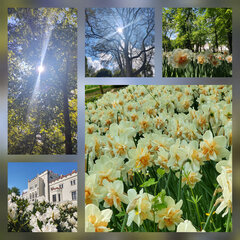 CollageMaker_20210516_151849049.jpg