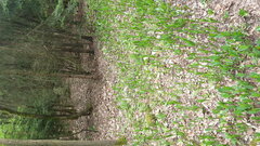 IMG_20210516_175117402.jpg