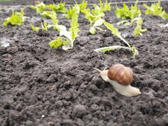 IMG_20210516_194650649.jpg
