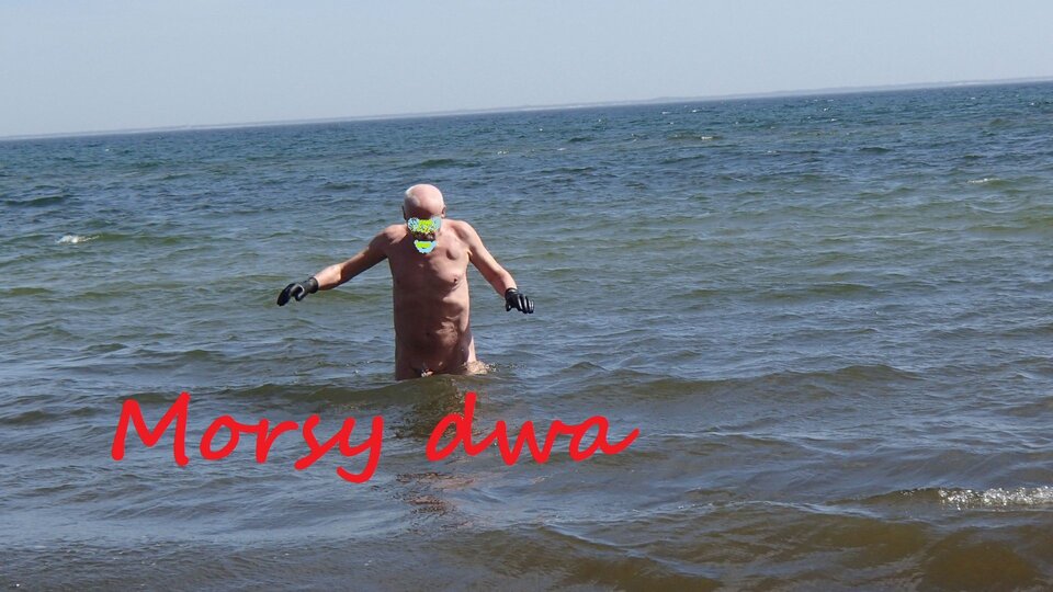 Babie Doły. Maj. - Morsy_dwa