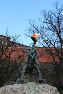 IMG_9944.jpg